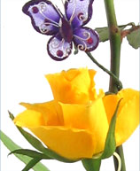 example2